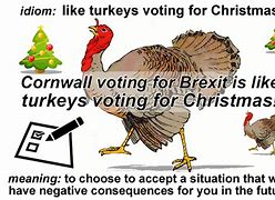 turkeys voting for christmas